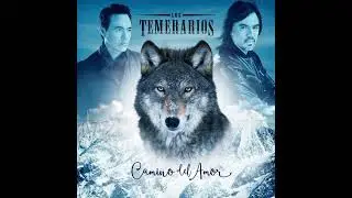 TU ÚLTIMA CANCIÓN - LOS TEMERARIOS