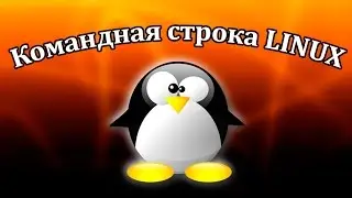 Команды терминала Linux. Урок 1. Основа работы с файлами