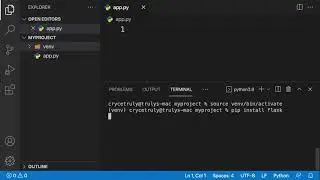 How to use Python Virtual env and Environment variables on Linux/macOS.