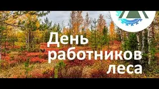 С днём лесника! 2023✨ Самое красивое поздравление с днём работника леса!