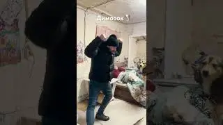 Пошел по комнате Димок😁
