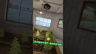 Почему важно заниматься фермой в расте rust #shorts #раст #rust #фермараст