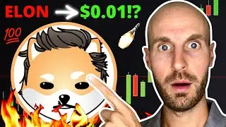 🔥I Bought 790000000 Dogelon Mars (ELON) Crypto Coins at $0.000000126511 (Turn $100 into $5,000?!)