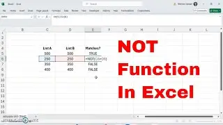 Using the NOT Function in Microsoft Excel! Use Logic When Something is Not True! #msexcel #tutorial