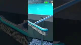 Pool Algae Scrub #shortsfeed #pool #poolaccessories #intex