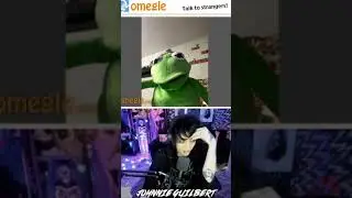 Meeting Kermit the frog on Omegle gone wrong gone sexual