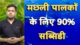 मछली पालकों के 90 प्रतिशत तक सब्सिडी मिलेगी | Fish Farming | Bihar Government