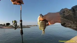 Морская рыбалка. Спиннинг METSUI TIP TOP - ласкирь и зеленуха.