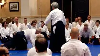 Yamada Sensei Ushiro Tekubitori Iriminage