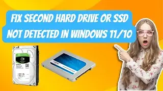 Fix Second hard drive or SSD Not Detected In Windows 11/10