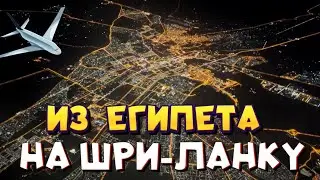 Улетаем из ЕГИПТА на ШРИ-ЛАНКУ | Пересадка на МАЛЬДИВАХ
