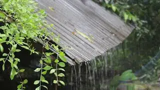 Sample channel video