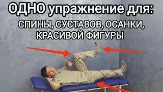 Лучшее упражнение для: СПИНЫ, СУСТАВОВ, ОСАНКИ и КРАСИВОЙ ФИГУРЫ