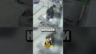 А как мать узнала, куда нести щенка?