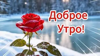 ДОБРОГО УТРА!💖 ЗАМЕЧАТЕЛЬНОГО НАСТРОЕНИЯ💖 НА ВЕСЬ ДЕНЬ!💖Красивое пожелание доброго утра💌