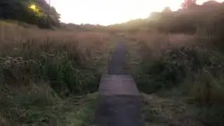 Evening walk by a gentle river