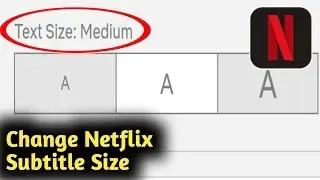 Change Netflix Subtitle Size
