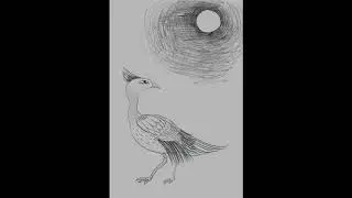 Night- Singing through the Woods