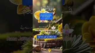 ہم دیکھ لیا اور سنا لیا 