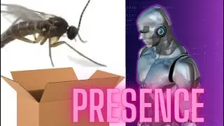 "Wasp in a Box" Presence Detection Blueprint for Home Assistant