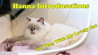 1st Vlog Video With My Lovely Cat Hanna | Unprofessional | Shahjee | Hanna