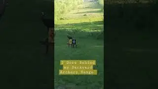 2 Does Behind my Backyard Archery Range