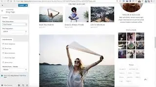 (Old) Customize Blog Page in the Ashe Free Wordpress Theme