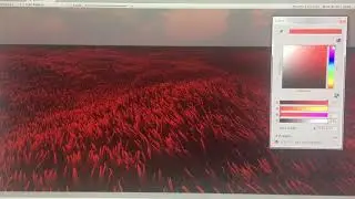 Realistic Real Time Grass Rendering With Unity.