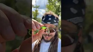 Рыбий спинер!