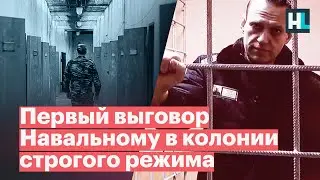 Письмо от Навального: первый выговор Навальному в колонии строгого режима