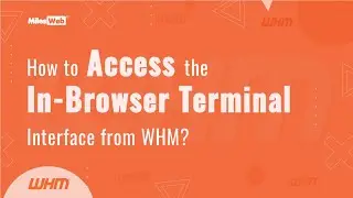 How to Access the In-Browser Terminal Interface from WHM? | MilesWeb