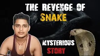 Reality of Snake bite 7 Times to Boy | Snake bite 7 Times Vikash Dubey | mysterious story