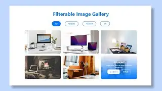 Filterable Image Gallery in HTML CSS & JavaScript | Responsive Portfolio Filter Gallery