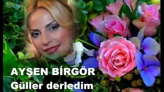 AYŞEN BİRGÖR Güller derledim ikimiz için