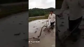 Из жизни вьетнамской женщины