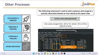 LM3   Lecture 3 – Other Process Control Tools || Linux course ||