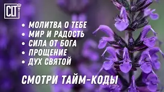 Бог, действующий в тебе Своею силою, сделает несравненно больше всего, чего ты просишь и помышляешь