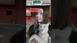Яжмать требует дать ребенку погладить кота 