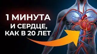 Лучшие приёмы для сердца омолодят сосуды за 1 минуту в день!