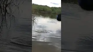 ВЫТАЩИЛ из КУСТОВ ТРОФЕЙ ФИДЕР ВЕСНОЙ на РЕКЕ