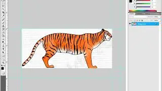 reference image in 3ds max