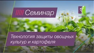 Современные технологии защиты овощных культур и картофеля