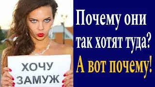 ❌Почему многие женщины так сильно хотят замуж? Стоит ли мужчине жениться? Чем выгоден брак женщине?