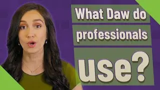 What Daw do professionals use?
