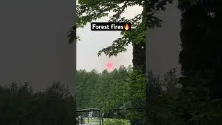 The Toronto Area is covered with Forest fires 🔥 smog from Ontario and Quebec