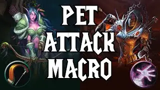 Pet Attack Macro | Make Your Pet Attack When You Attack | For Hunters & Warlocks