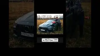 Тачки Литвина ожили