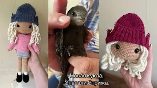 Новая кукла. Вяжу каждый день. История спасения Стрижа🐦‍⬛