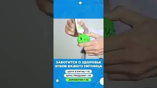 ИГРУШКА ДЛЯ СОБАК | МЯЧ ДЛЯ ЗУБОВ 😍🐶👍🏼
