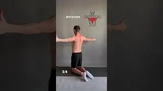 Упражнения от боли между лопаток